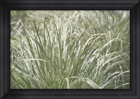 Framed Nature&#39;s Textures IV Print