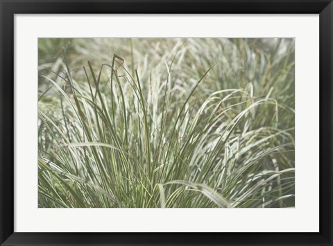 Framed Nature&#39;s Textures IV Print