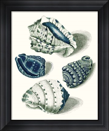 Framed Celadon Shells I Print