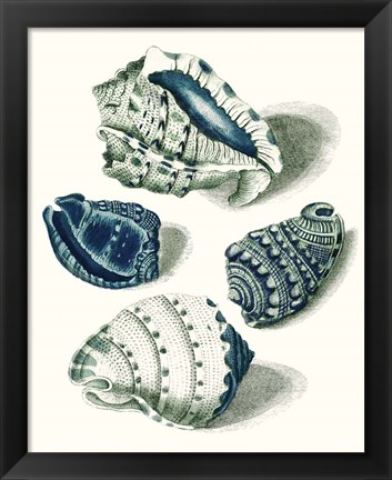 Framed Celadon Shells I Print
