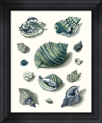 Framed Celadon Shells II Print