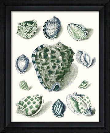 Framed Celadon Shells III Print