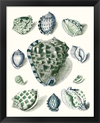 Framed Celadon Shells III Print