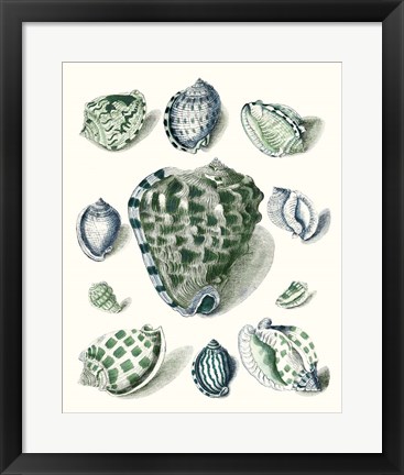 Framed Celadon Shells III Print