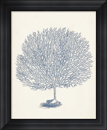 Framed Antique Coral Collection I Print