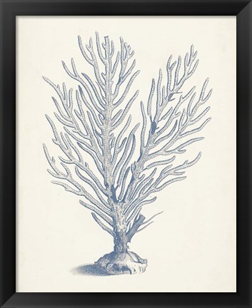 Framed Antique Coral Collection II Print