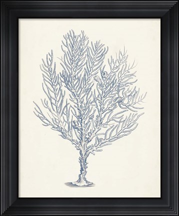 Framed Antique Coral Collection III Print