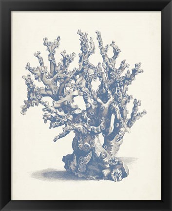 Framed Antique Coral Collection V Print