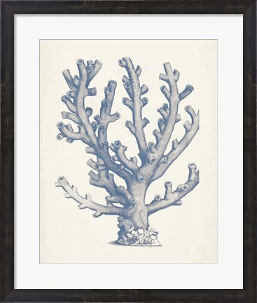 Framed Antique Coral Collection VI Print