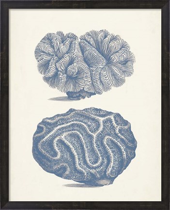 Framed Antique Coral Collection IX Print