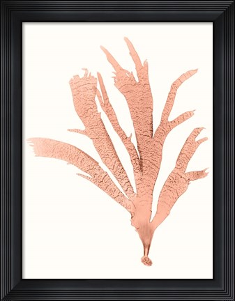 Framed Vivid Coral Seaweed IV Print