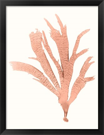 Framed Vivid Coral Seaweed IV Print