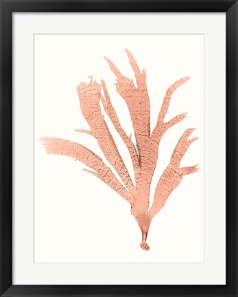 Framed Vivid Coral Seaweed IV Print