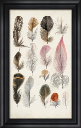 Framed Antique Bird Feathers III Print