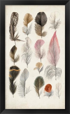 Framed Antique Bird Feathers III Print