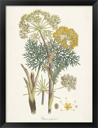 Framed Saffron Botanicals I Print