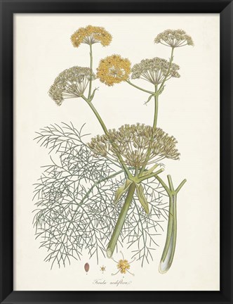 Framed Saffron Botanicals II Print