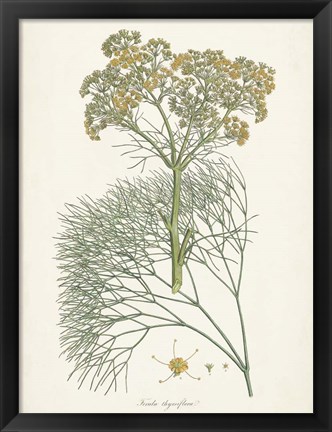 Framed Saffron Botanicals III Print