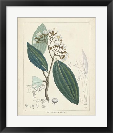 Framed Vintage Verdure I Print