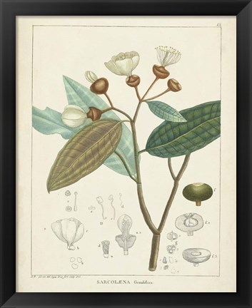 Framed Vintage Verdure III Print