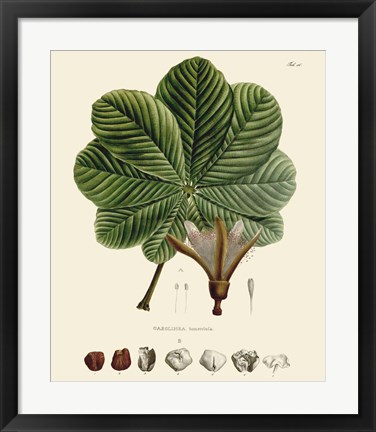 Framed Luscious Leaves I Print