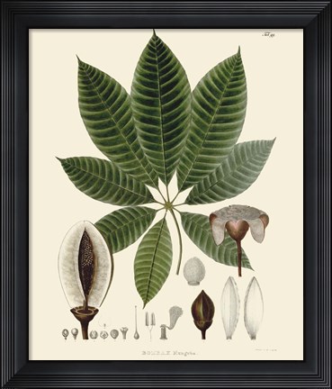 Framed Luscious Leaves IV Print