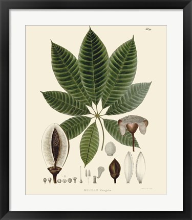 Framed Luscious Leaves IV Print