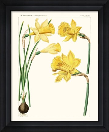 Framed Bright Botanicals I Print