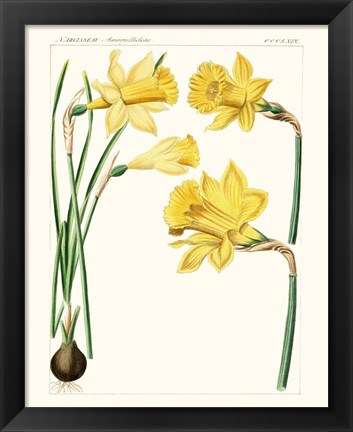 Framed Bright Botanicals I Print