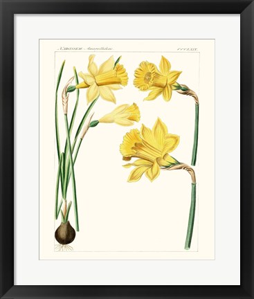 Framed Bright Botanicals I Print