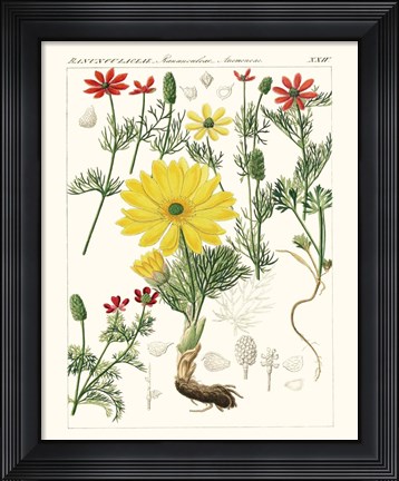 Framed Bright Botanicals IV Print