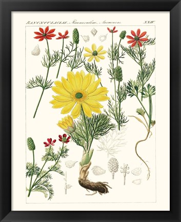 Framed Bright Botanicals IV Print