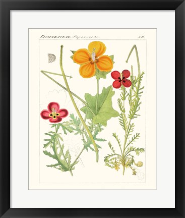 Framed Bright Botanicals V Print