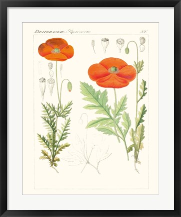 Framed Bright Botanicals VI Print