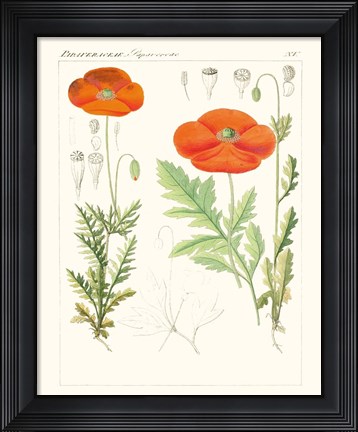 Framed Bright Botanicals VI Print
