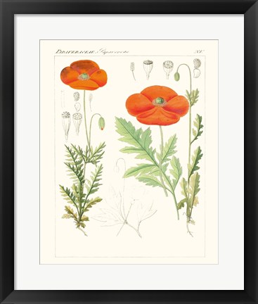 Framed Bright Botanicals VI Print