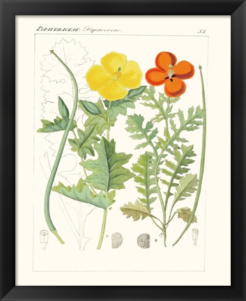 Framed Bright Botanicals VII Print