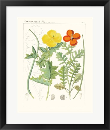 Framed Bright Botanicals VII Print