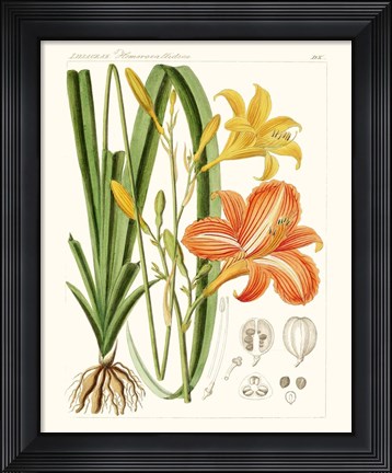 Framed Bright Botanicals VIII Print