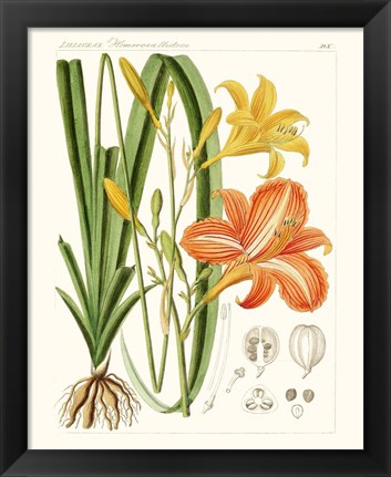 Framed Bright Botanicals VIII Print