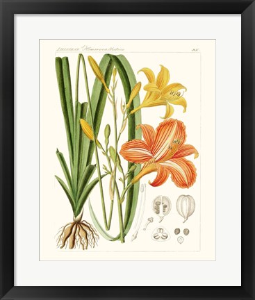 Framed Bright Botanicals VIII Print