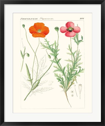 Framed Bright Botanicals IX Print