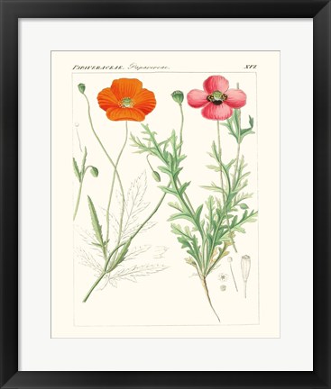 Framed Bright Botanicals IX Print