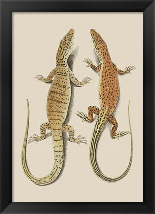 Framed Antique Lizards I Print