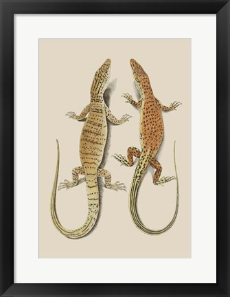 Framed Antique Lizards I Print