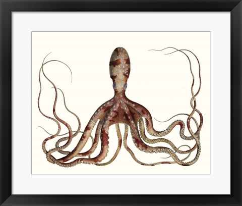 Framed Antique Octopus Collection II Print