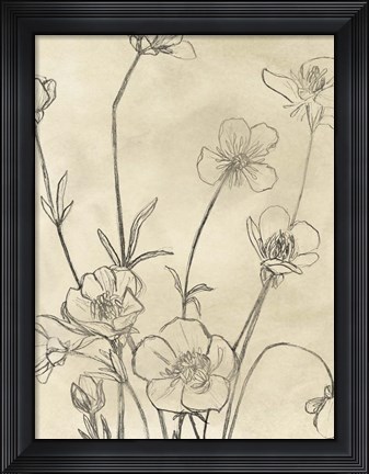 Framed Vintage Wildflowers I Print