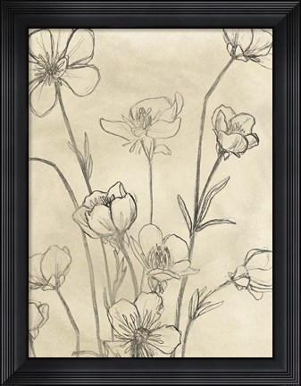 Framed Vintage Wildflowers II Print