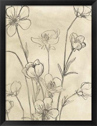 Framed Vintage Wildflowers II Print