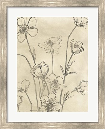 Framed Vintage Wildflowers II Print